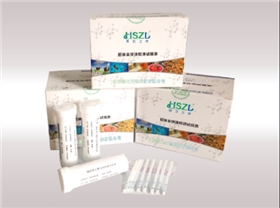 上海創(chuàng)富物流公司 上海創(chuàng)富物流公司