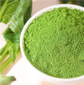 上海物流公司 上海物流公司