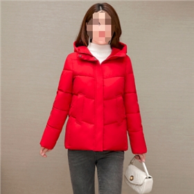 上海物流公司 上海物流公司