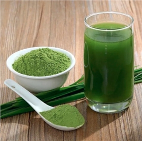 上海物流公司 上海物流公司