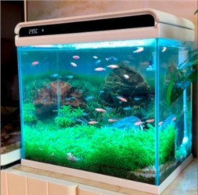 上海物流貨運(yùn)公司 上海物流貨運(yùn)公司