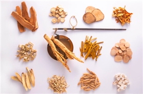 上海物流貨運公司 上海物流貨運公司