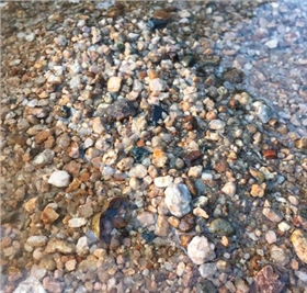 上海物流貨運公司 上海物流貨運公司