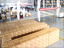 平面?zhèn)} 平面?zhèn)}